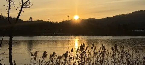 모임 대표 이미지