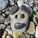 member face