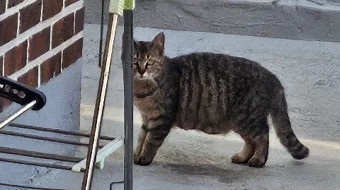 정모 대표 이미지