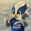 member face