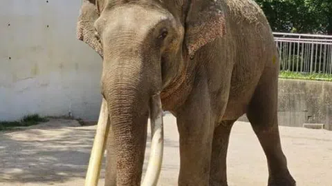 정모 대표 이미지