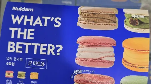 정모 대표 이미지