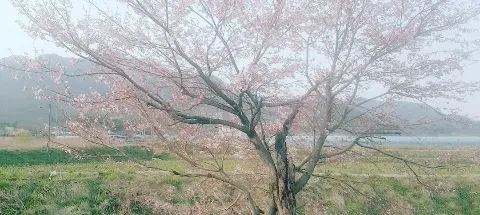 모임 대표 이미지