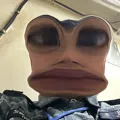 member face