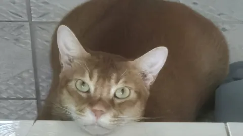 정모 대표 이미지