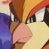 member face