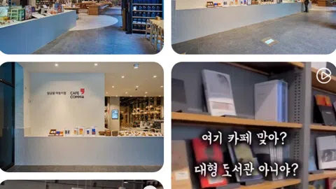 정모 대표 이미지