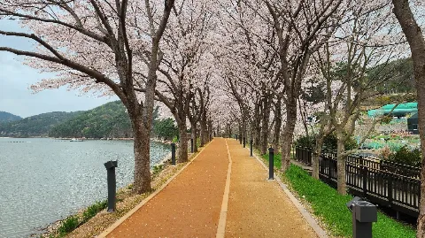 정모 대표 이미지