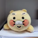 member face