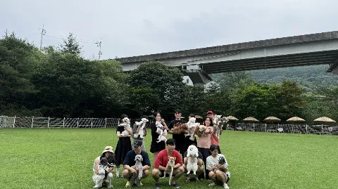 정모 대표 이미지