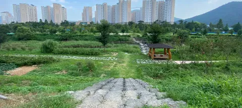 모임 대표 이미지