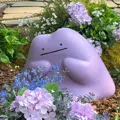 member face