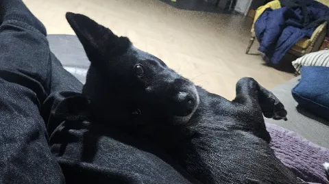 정모 대표 이미지