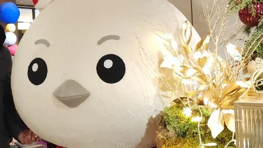 정모 대표 이미지