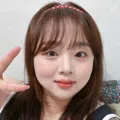 member face