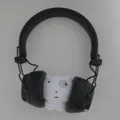 member face