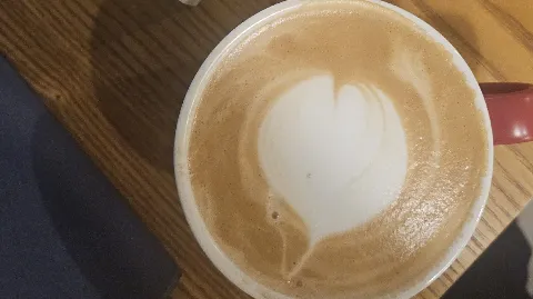 정모 대표 이미지