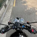 member face