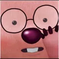 member face