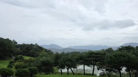 정모 대표 이미지