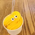 member face