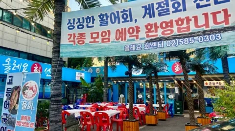 정모 대표 이미지
