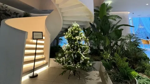 정모 대표 이미지