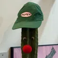 member face