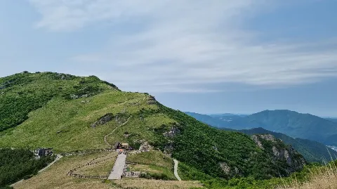 정모 대표 이미지