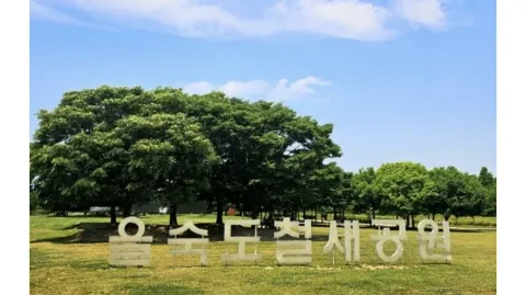 정모 대표 이미지