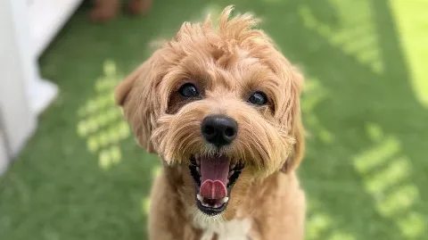 정모 대표 이미지