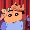 member face