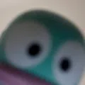 member face