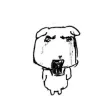 member face