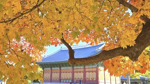 정모 대표 이미지