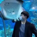 member face