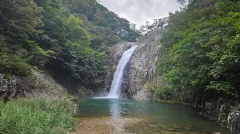 정모 대표 이미지