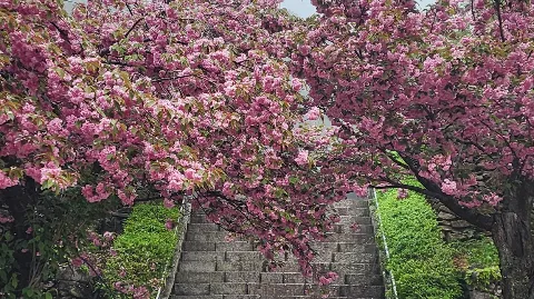 정모 대표 이미지