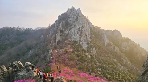 정모 대표 이미지