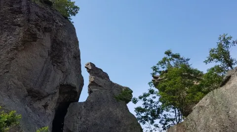 정모 대표 이미지
