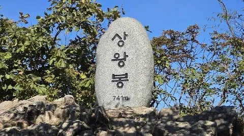 정모 대표 이미지