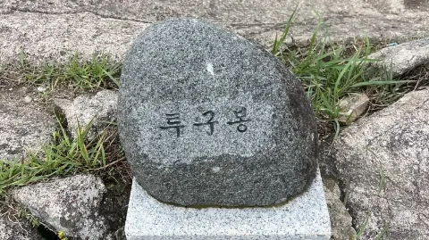 정모 대표 이미지