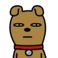 member face