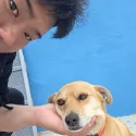 member face