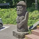 member face