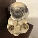 member face