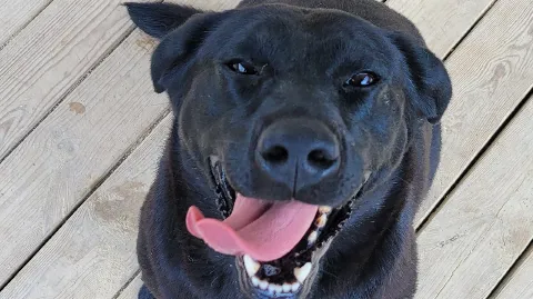 정모 대표 이미지