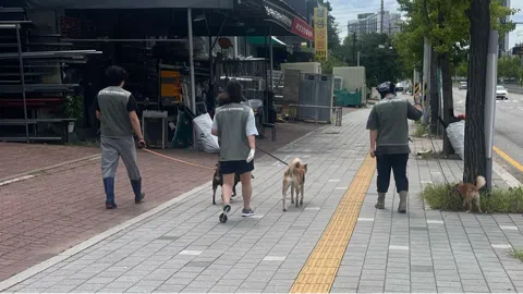 정모 대표 이미지