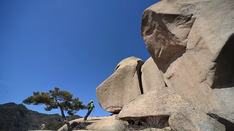 정모 대표 이미지