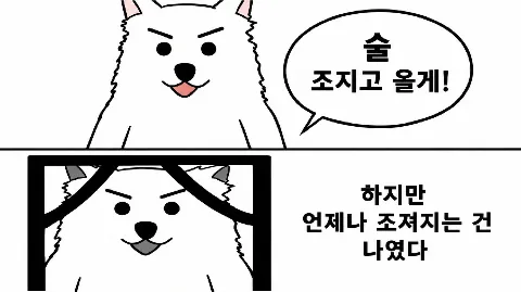 정모 대표 이미지
